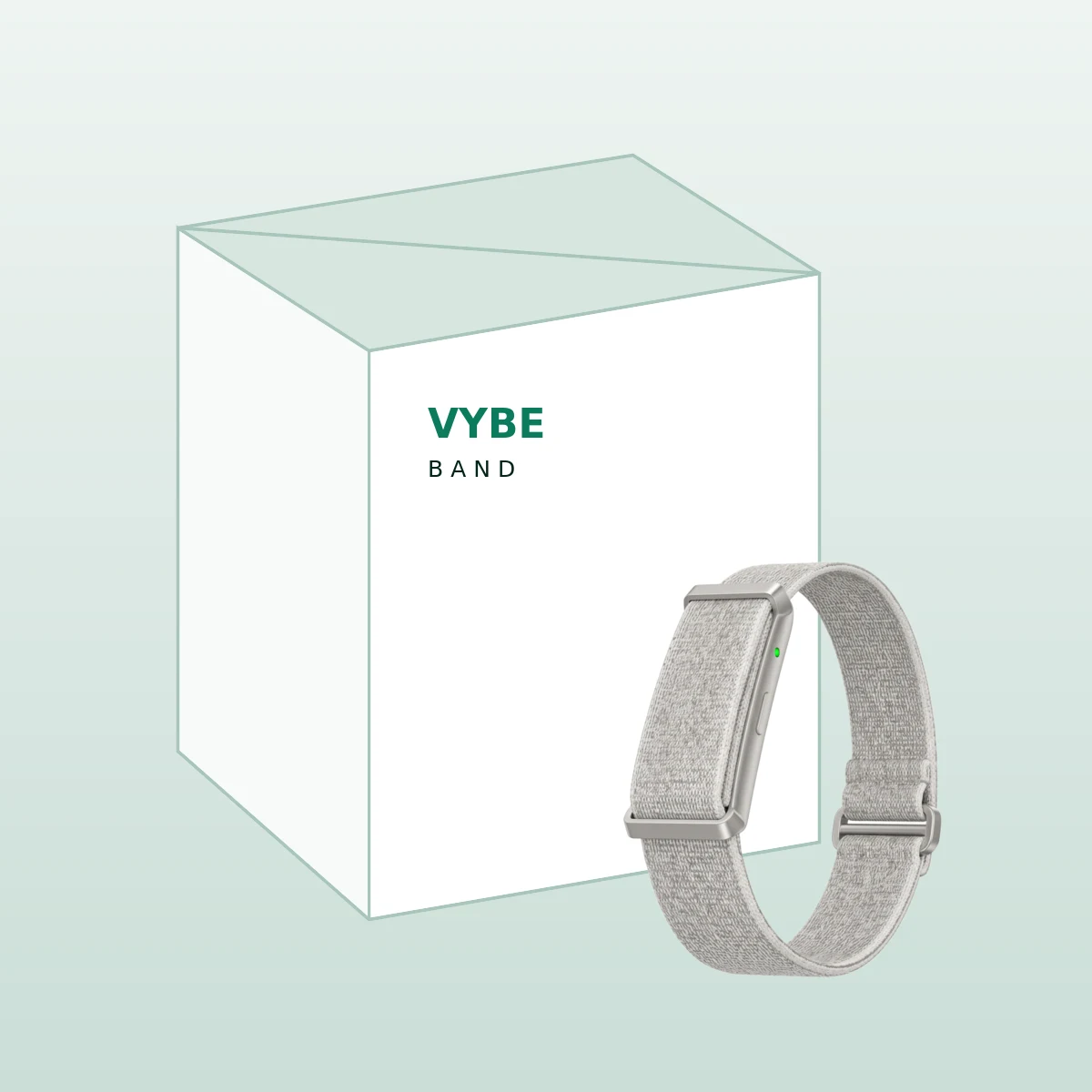 Vybe Band and launch packaging